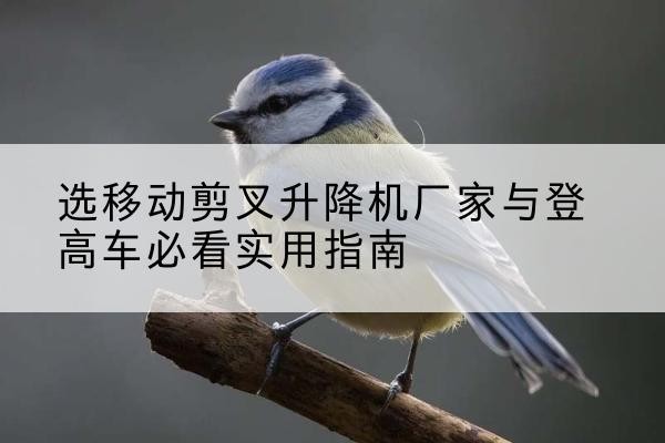 镇平电动升降机厂家-选移动剪叉升降机厂家与登高车必看实用指南