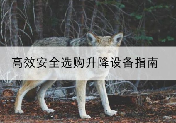 镇平升降货梯厂家推荐-*安全选购升降设备指南