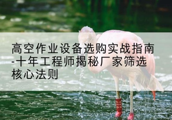 镇平剪叉式升降机厂家-高空作业设备选购实战指南-十年工程师揭秘厂家筛选核心法则