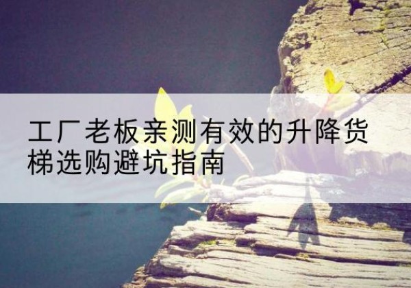 镇平升降货梯怎么选-工厂老板亲测有效的升降货梯选购避坑指南